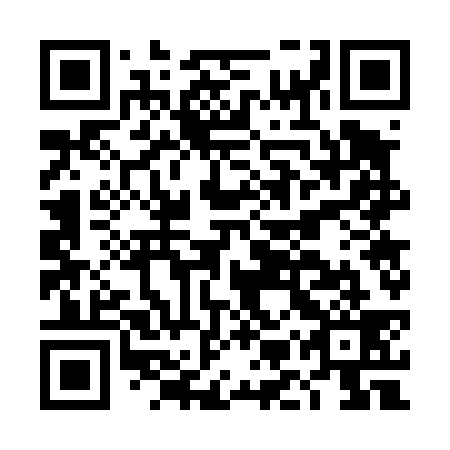 QR code for plate DMW 439