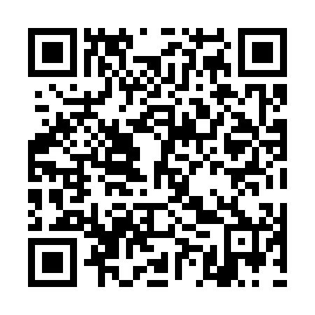 QR code for DMX 300