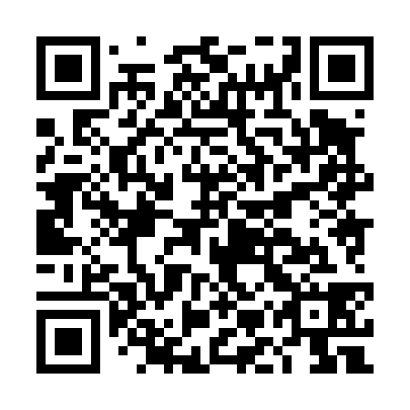 QR code for DMX 438