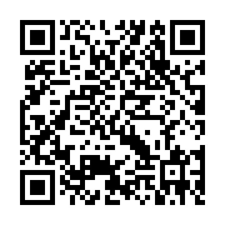 QR code for DMX 541
