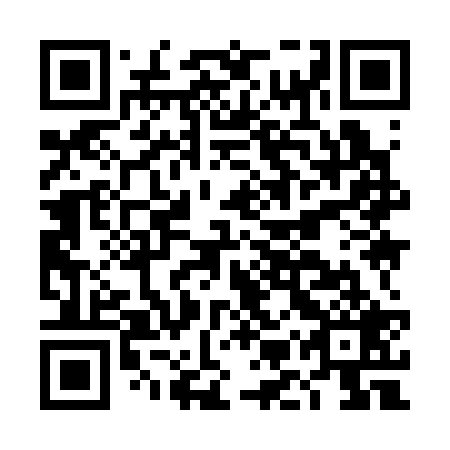 QR code for plate DMY 329