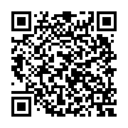 QR code for plate DMY 696