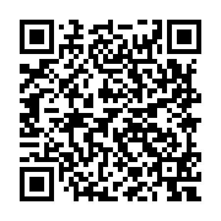 QR code for DMY991