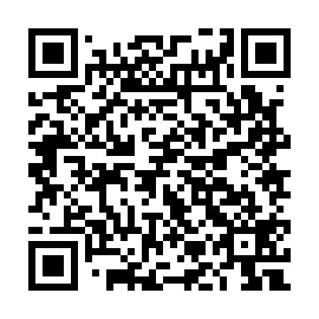 QR code for DMZ 119