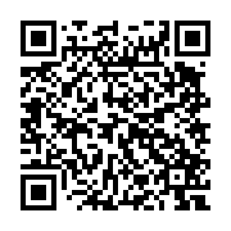 QR code for DMZ 407