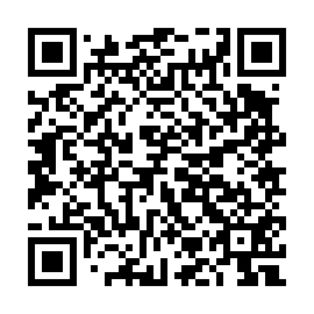 QR code for DMZ 451
