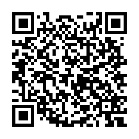 QR code for DMZ 729