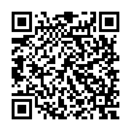 QR code for plate DMZ 985