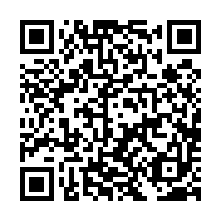 QR code for DN 0593