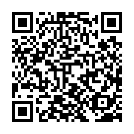 QR code for DN 0738