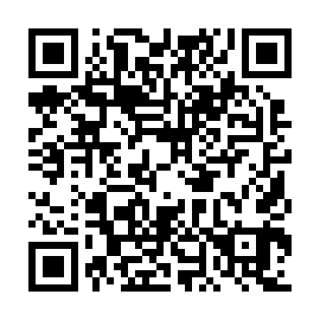 QR code for DN 1241