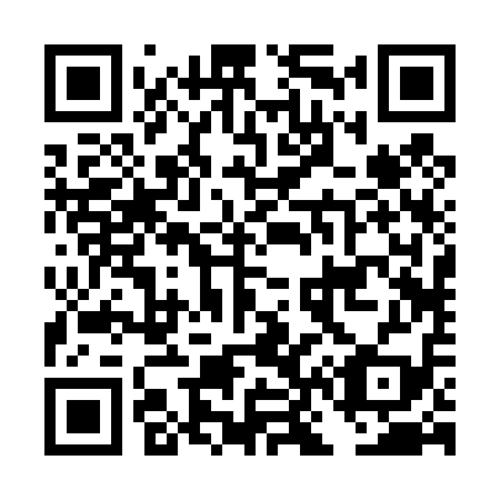 QR code for DN 2419