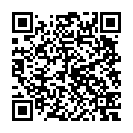 QR code for DN 2439