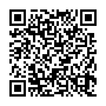 QR code for DN 2738