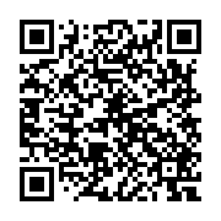 QR code for DN 2949