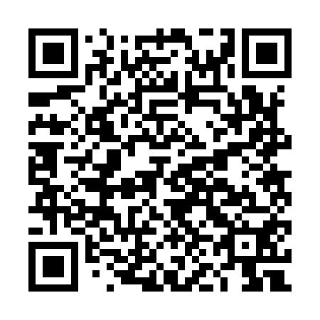 QR code for DN 2950