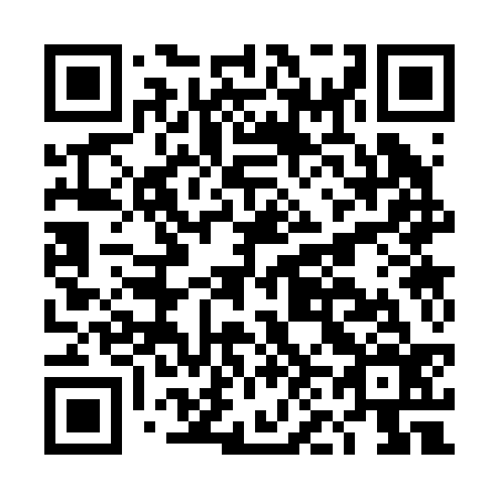 QR code for DN 3236