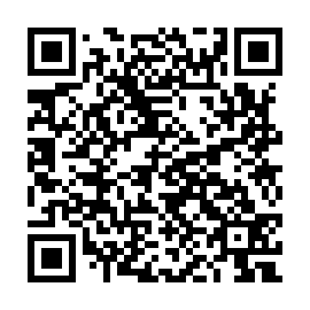 QR code for DN 3933