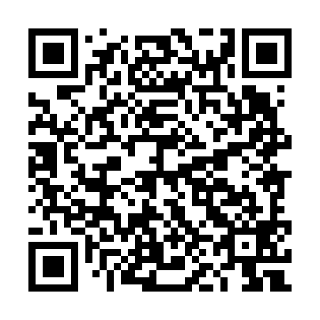 QR code for DN 8699