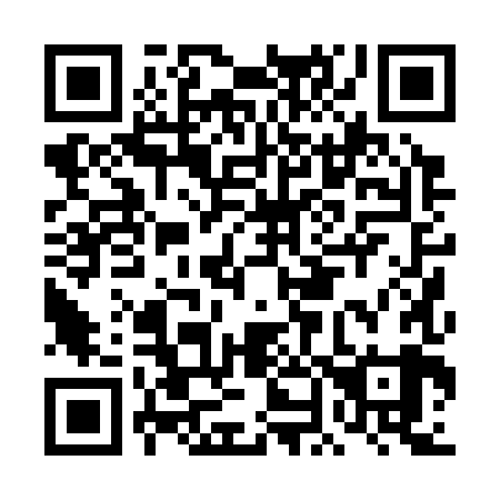 QR code for plate DN 0389