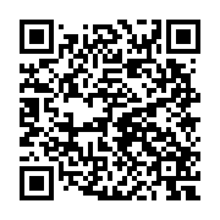 QR code for plate DN 1706