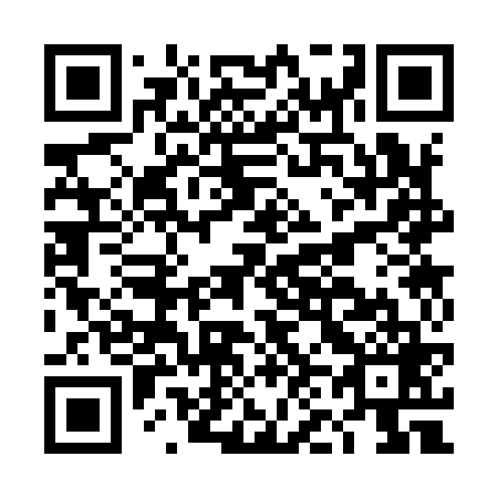 QR code for DN3969
