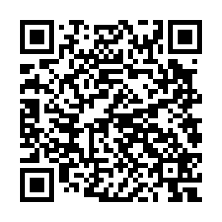 QR code for DN6029