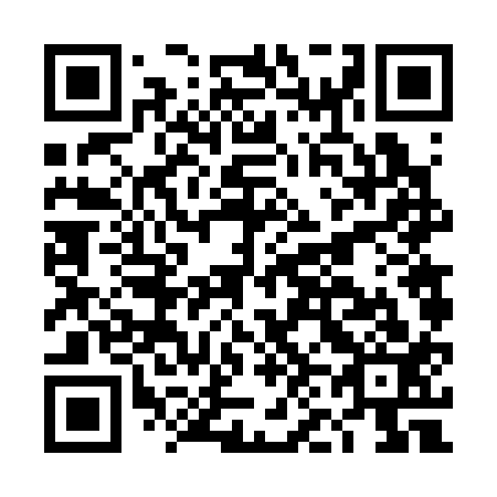 QR code for plate DN 6313
