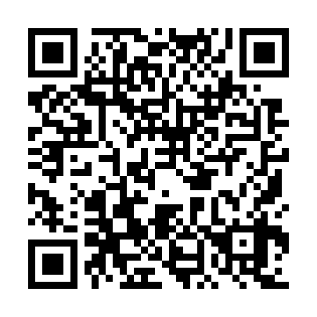 QR code for DN9738