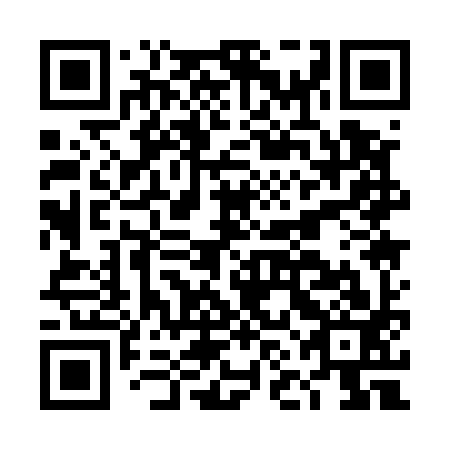 QR code for DNA593