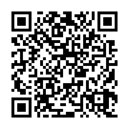 QR code for plate DNA 728