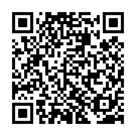 QR code for plate DNE 411