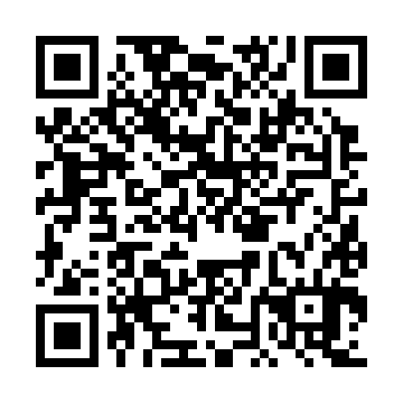 QR code for DNF 384