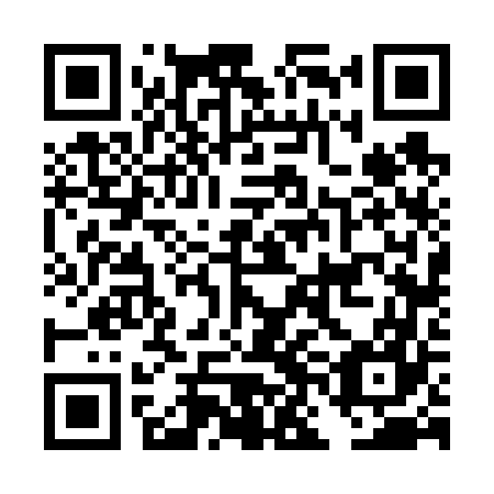 QR code for DNF 667