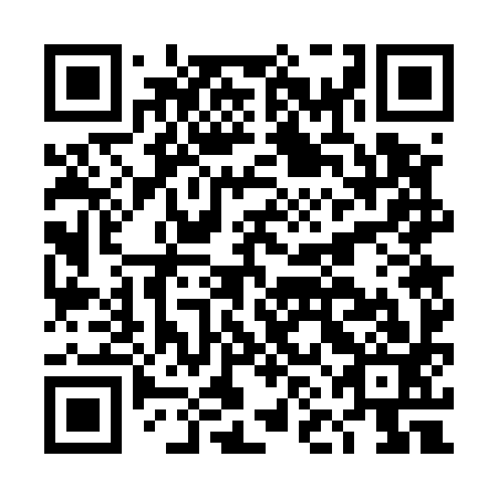 QR code for DNG 593