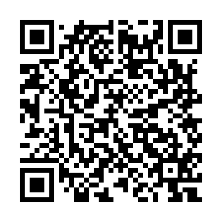 QR code for plate DNG 915