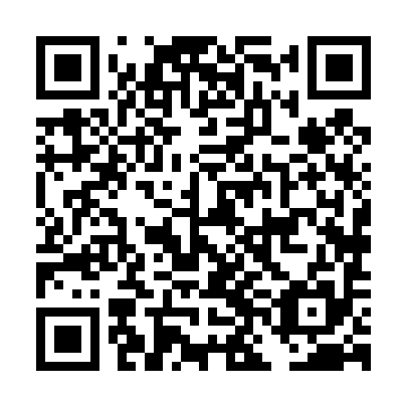 QR code for plate DNH 495