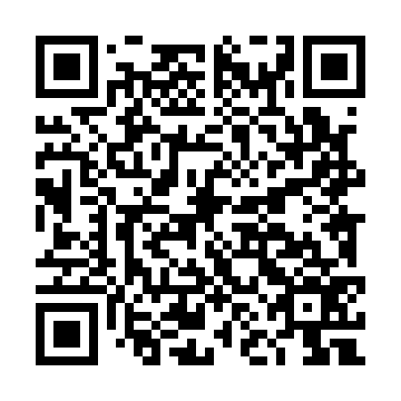 QR code for DNL 176