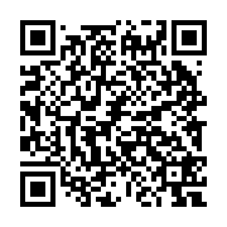 QR code for DNL 228