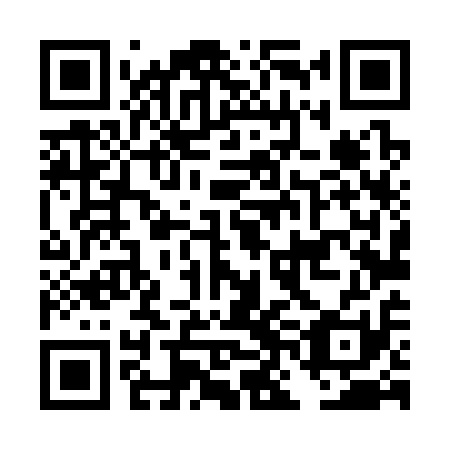 QR code for DNL 311