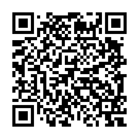 QR code for DNL 493