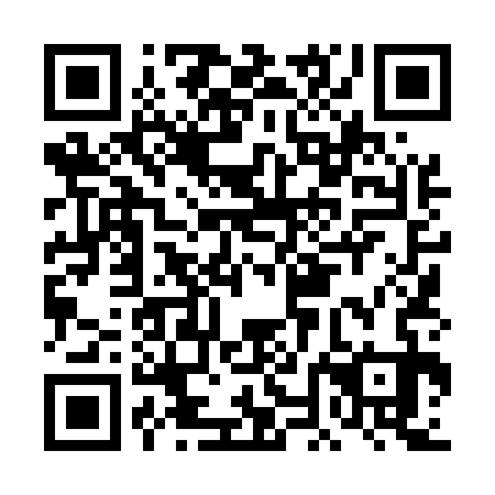 QR code for DNL 533