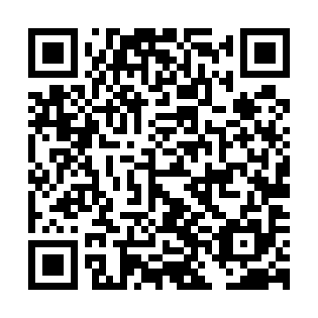 QR code for DNL 595