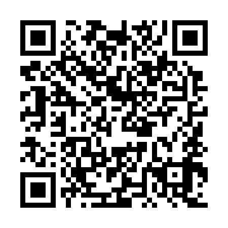 QR code for plate DNL 399