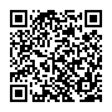 QR code for plate DNM 416