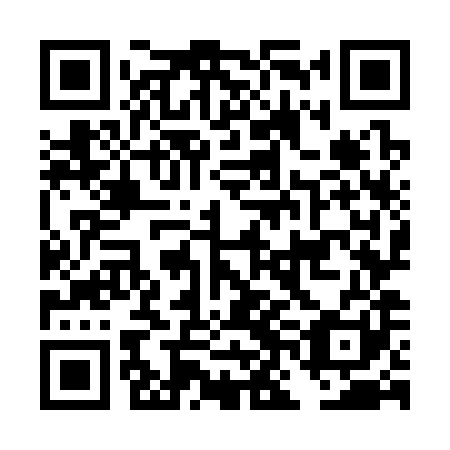 QR code for plate DNO 381
