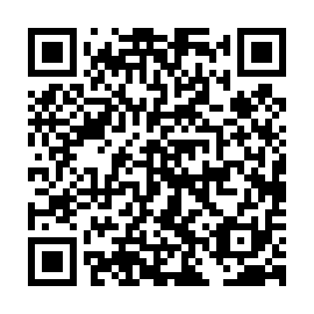 QR code for plate DNP 411