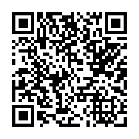 QR code for plate DNP 698