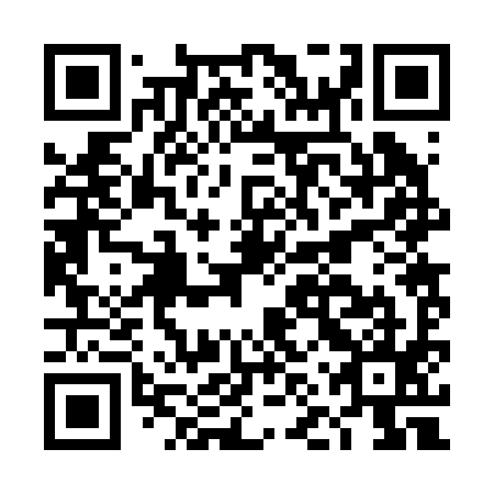QR code for DNR 295