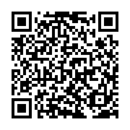 QR code for DNR 333